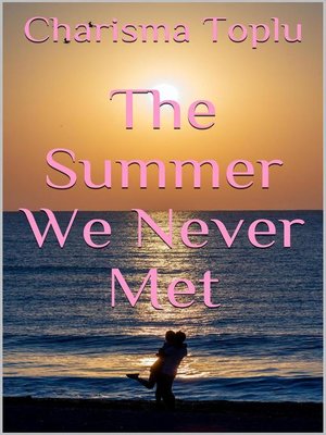 cover image of The Summer We Never Met